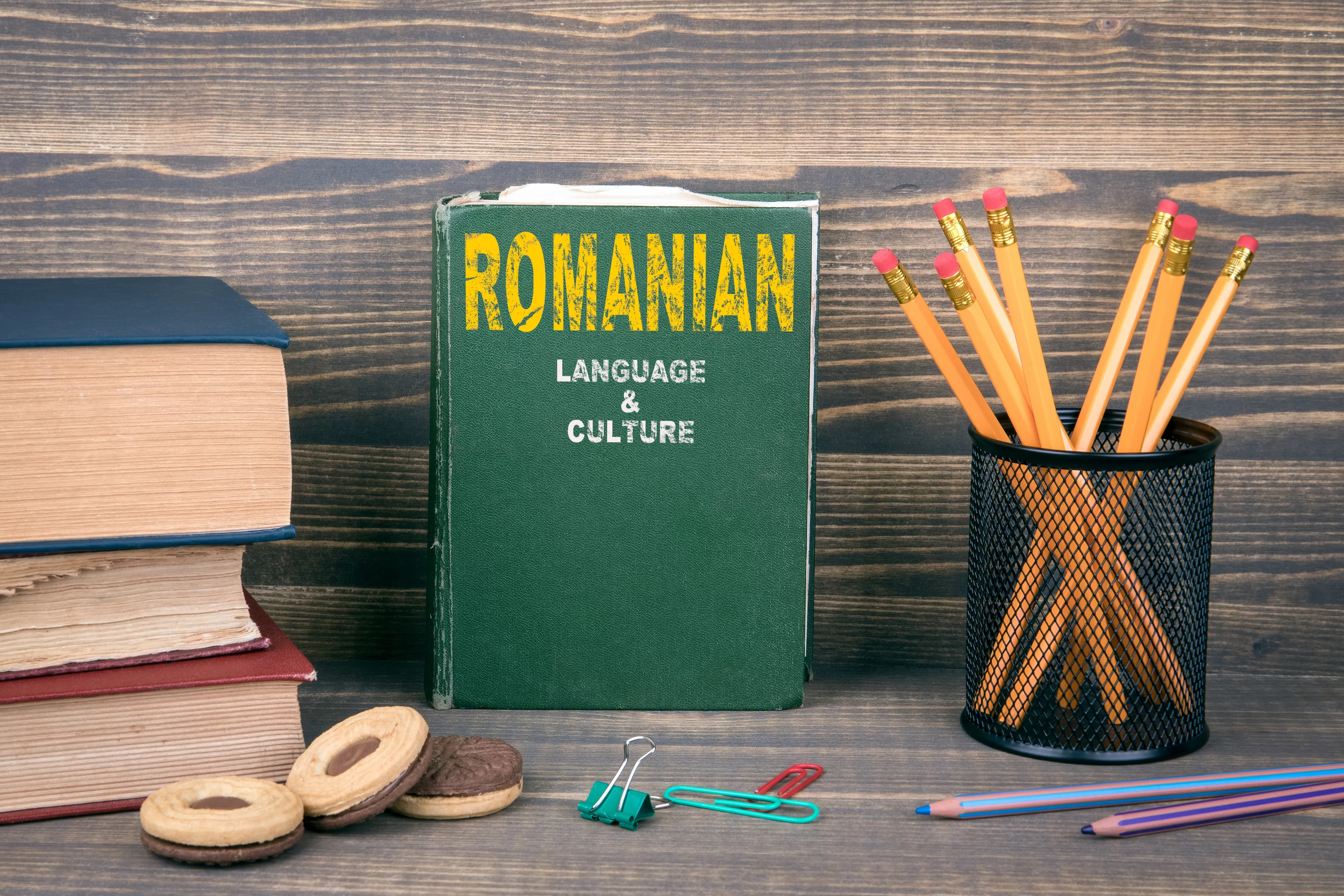 Language school teaching Romanian Lessons