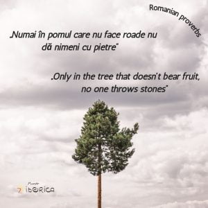 Through our Romanian language lessons, we facilitate the cultural integration of the learners 