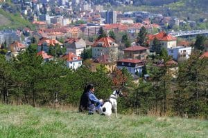 Describing cities in Romanian B1 by a woman who sits on the grass with her dog and looks at the city